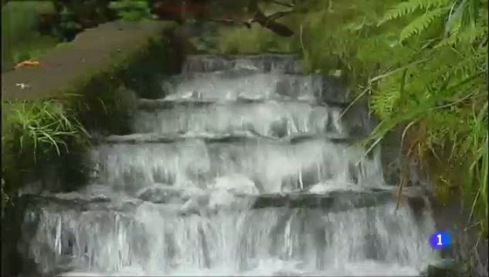 Aulaga. Senderos del Atlántico - Levada das 25 Fontes - Madeira