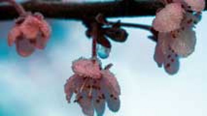 El tiempo - Aumento de la nubosidad en el tercio oeste