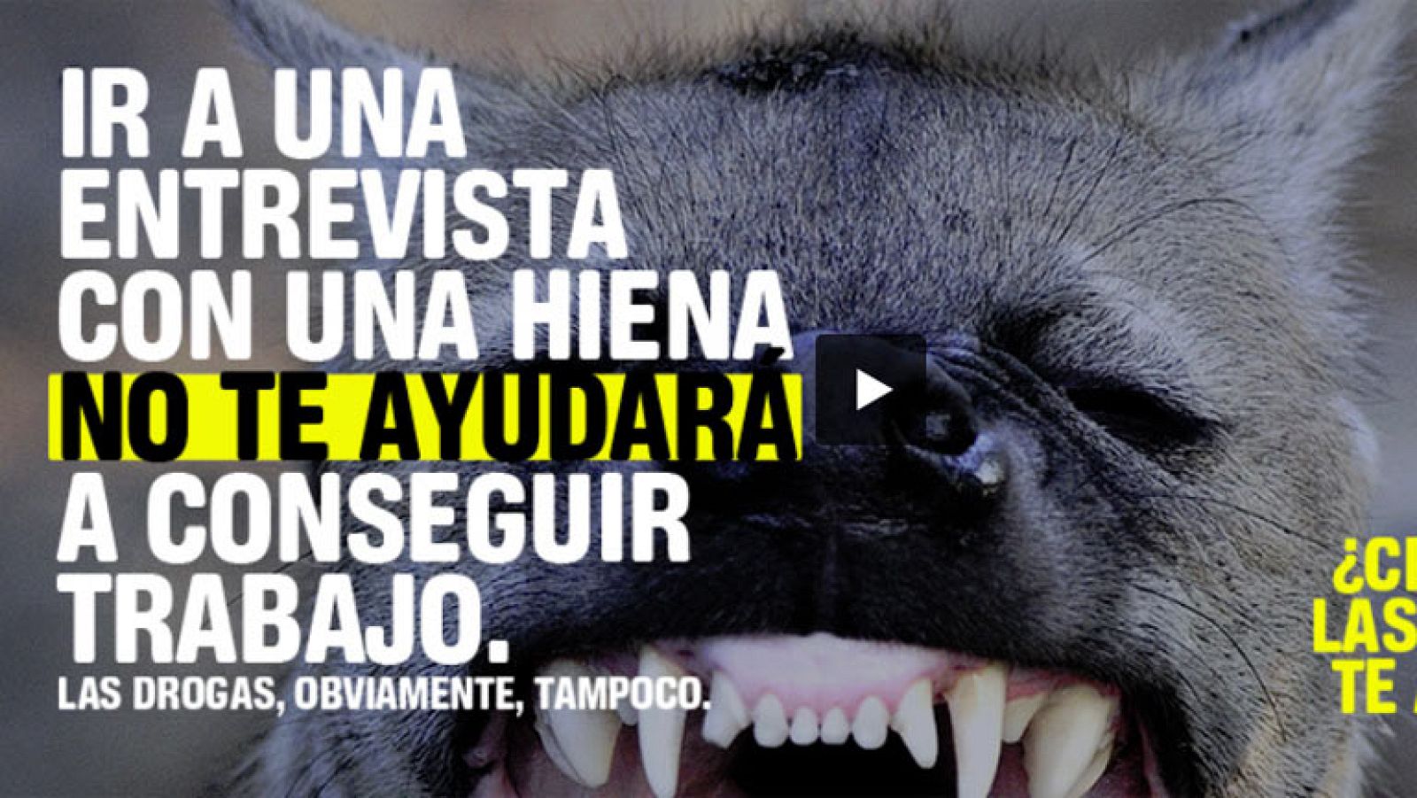 Nueva campaña para prevenir el consumo de drogas entre jóvenes y adolescentes