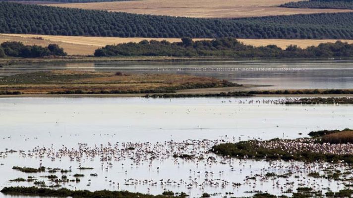 Así llega Doñana a los 50