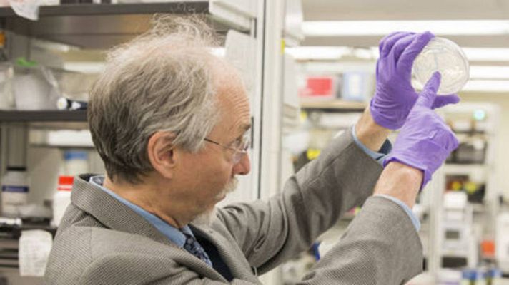 Telediario 1 - Fabrican por primera vez un cromosoma sintético de una célula compleja