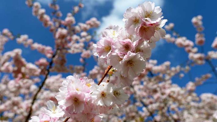 El tiempo - Temperaturas en ascenso en la península