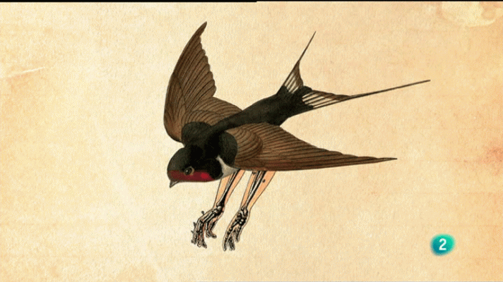 La aventura del Saber - La Aventura del Saber. Boek Visual. Sr. García