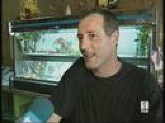  - Los Juegos vistos desde España