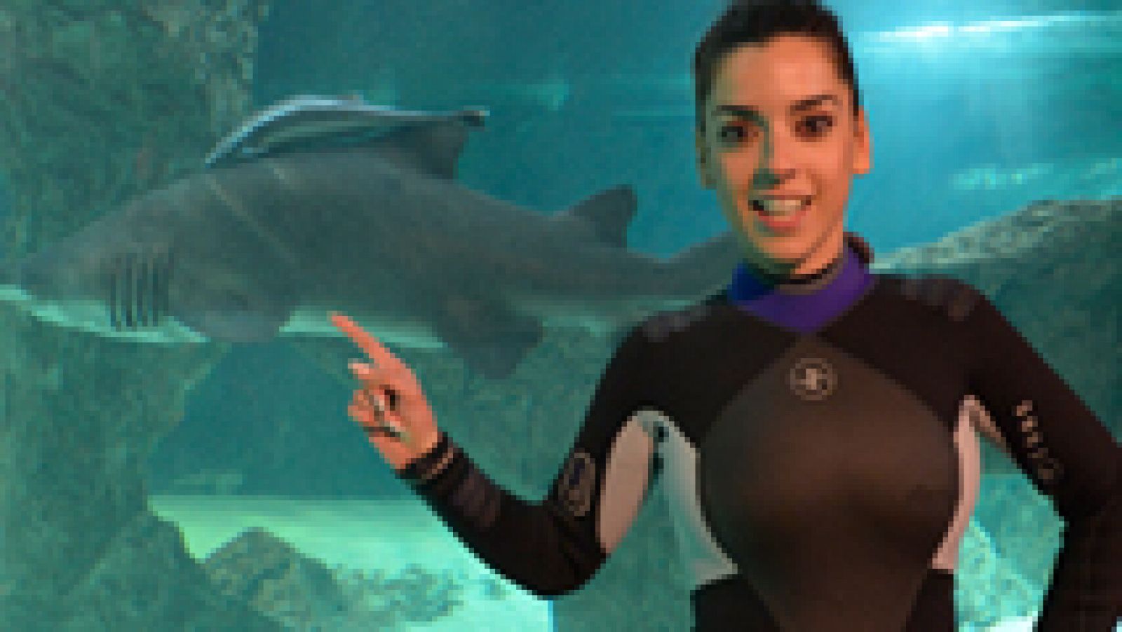 Eurovisión 2014 - Ruth Lorenzo cumple su promesa y bucea entre tiburones