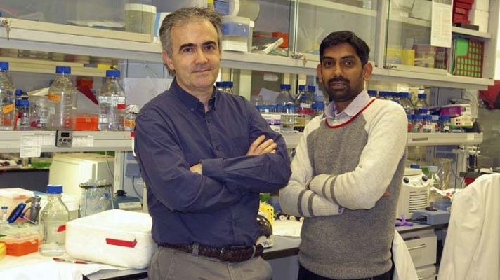 Telediario 1 - Tumores cáncer de colon