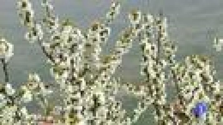 Noticias de Extremadura - Noticias de Extremadura 2 - 28/03/2014