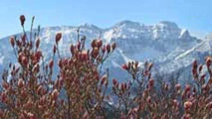 El tiempo - Viento fuerte en el cuadrante noreste