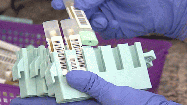 Telediario 1 - El cáncer más común