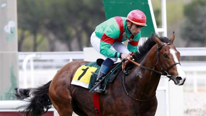 Turf - Turf - 30/03/14