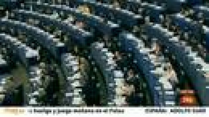 Parlamento - Elecciones europeas