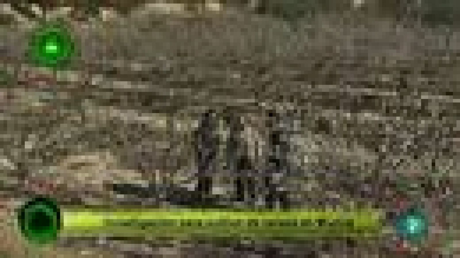 Agrosfera - Laboratorio de ideas - Cerezos