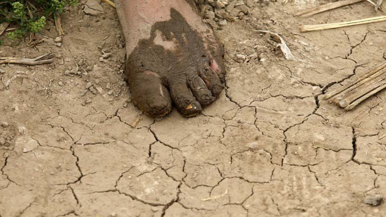 Un 80% de la población mundial ya se ve afectada por la falta de agua