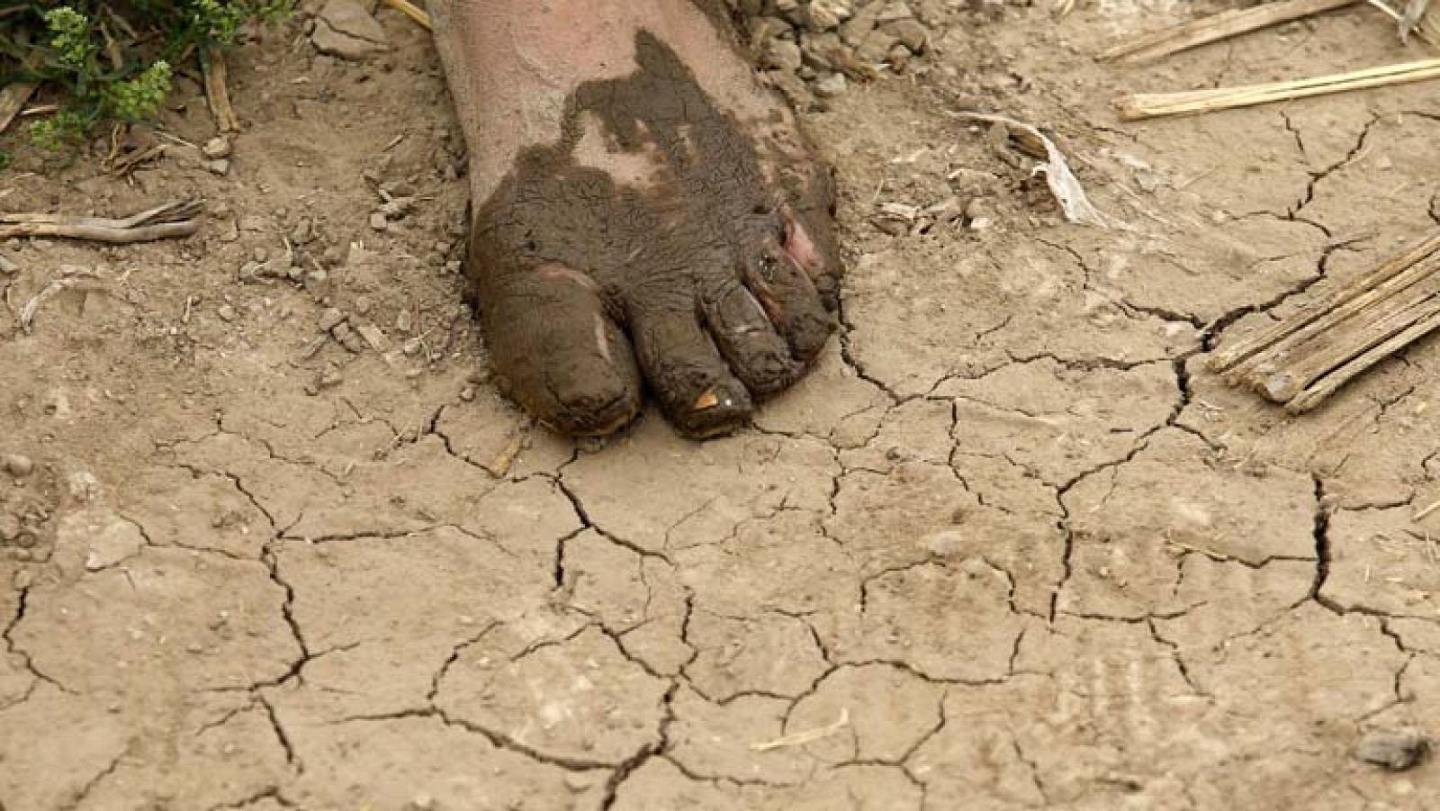 Un 80% de la población mundial ya se ve afectada por la falta de agua 