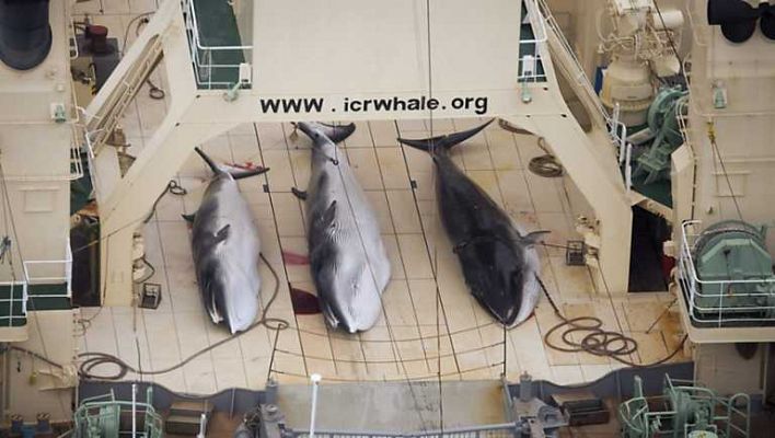 La 2 Noticias - La 2 Noticias - 31/03/14