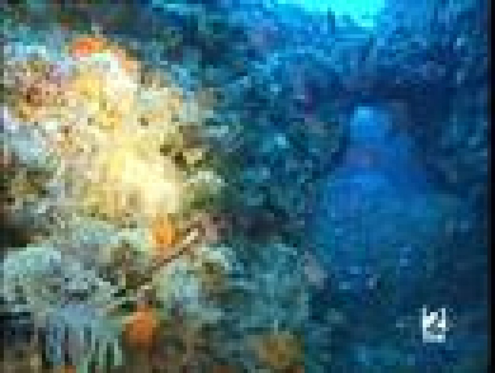 La España sumergida - Tarifa - La España sumergida | Ver