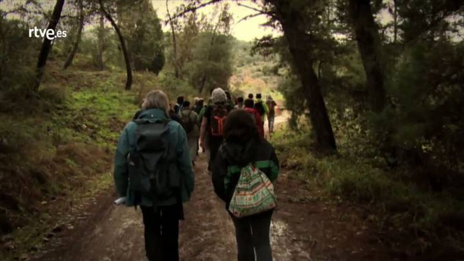 El Escarabajo Verde - Camino público: prohibido el paso - Avance