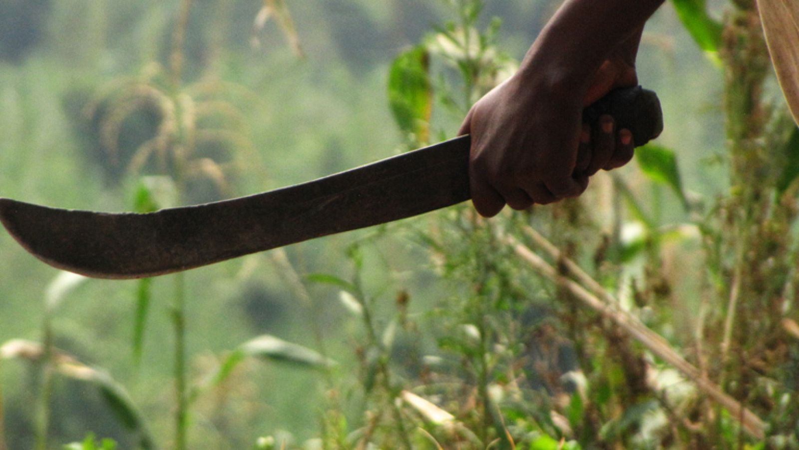 En Portada - Ruanda - El diablo anduvo suelto - Avance