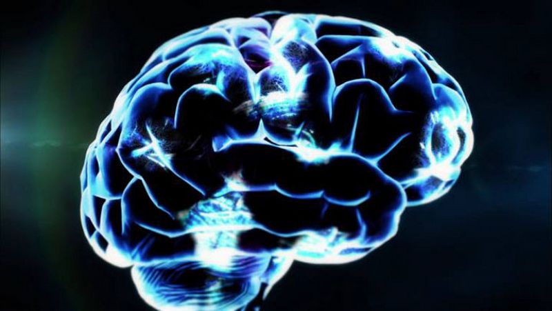 La Noche Temática - Avance: 'El cerebro de Hugo'