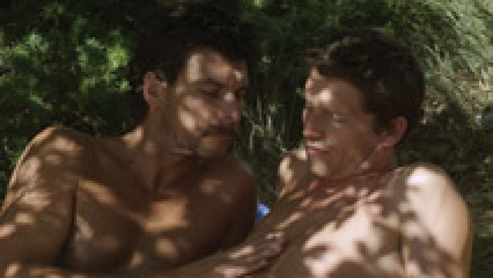 'El desconocido del lago'