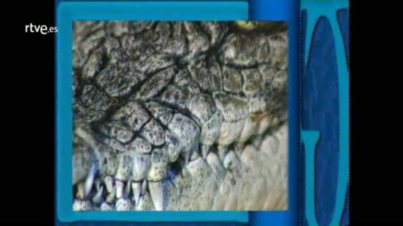 Arxiu TVE Catalunya - Giravolt - Sol contra carbó