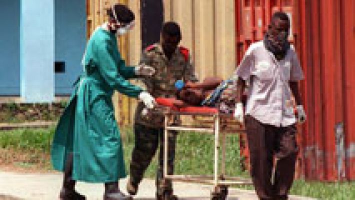 Telediario 1 - El fenómeno de las 'enfermedades emergentes'