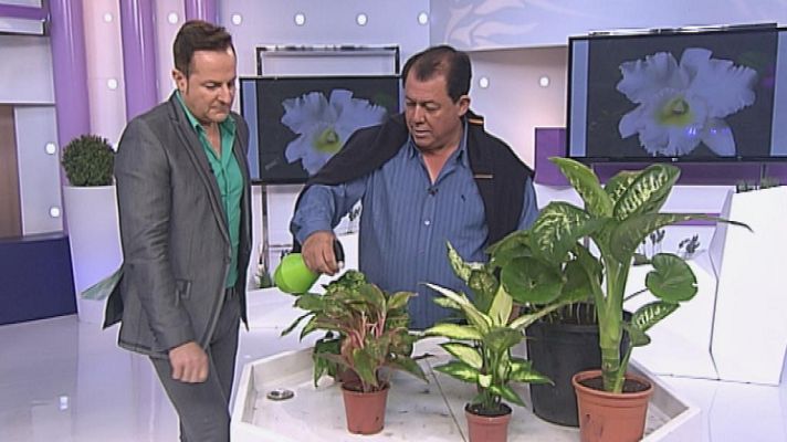 Cerca de ti - Cerca de ti - 04/04/14