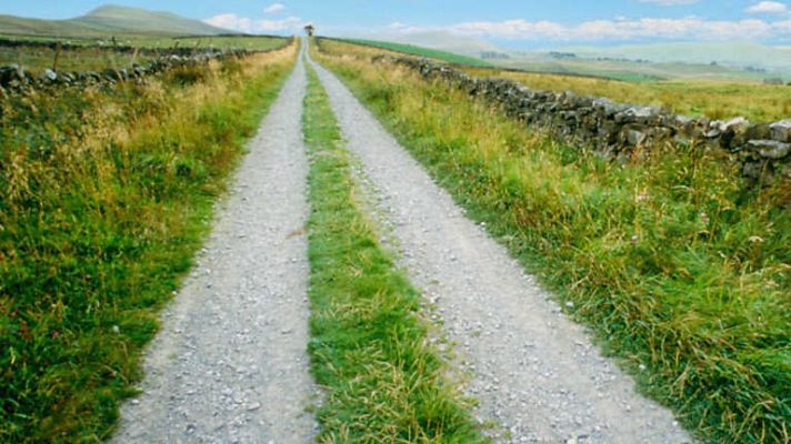 El escarabajo verde - Camino público: prohibido el paso