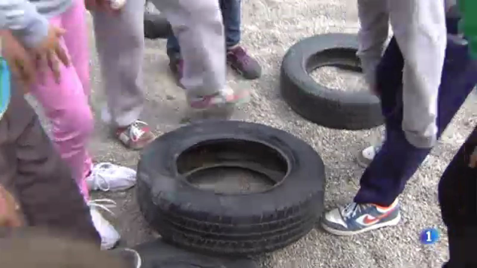 L'Informatiu: Els nens ajuden en la lluita contra el mosquit tigre a Girona | RTVE Play