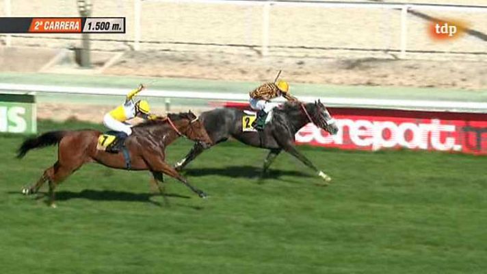 Turf - Turf - 06/04/14