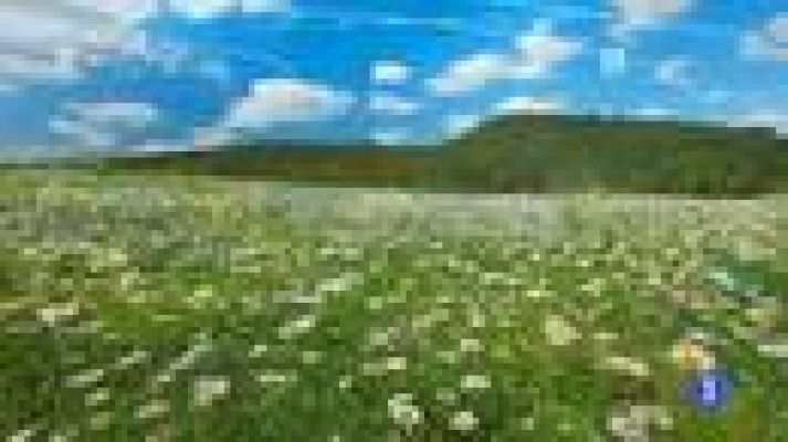 TeleCantabria - El tiempo en Cantabria - 07/04/14