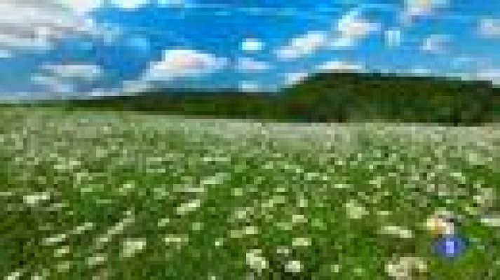 TeleCantabria - El tiempo en Cantabria - 08/04/14