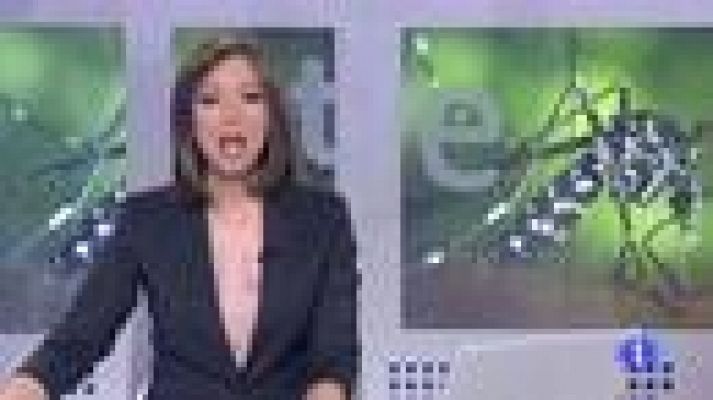 L'Informatiu - Mosquit tigre a l'Empordà