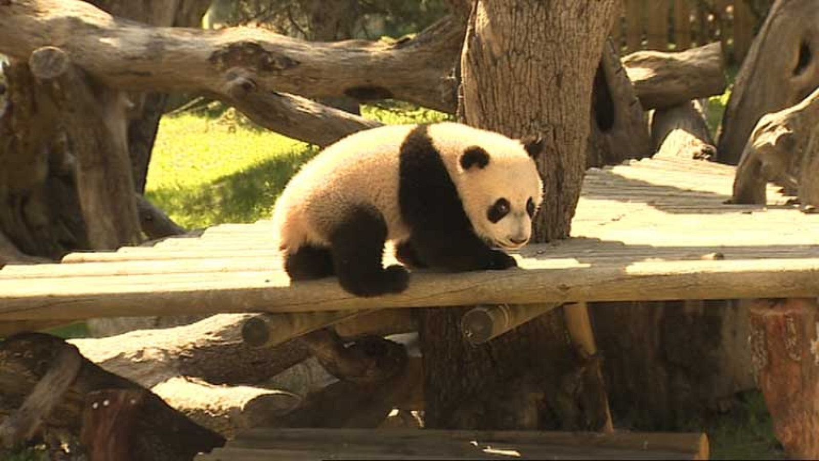 Informativo de Madrid 2 - 09/04/14