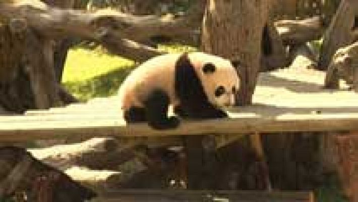 Informativo de Madrid - Informativo de Madrid 2 - 09/04/14