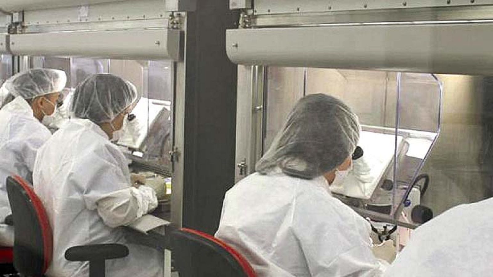 Un científico español logra desarrollar una técnica pionera para crear órganos humanos en el cuerpo de un animal