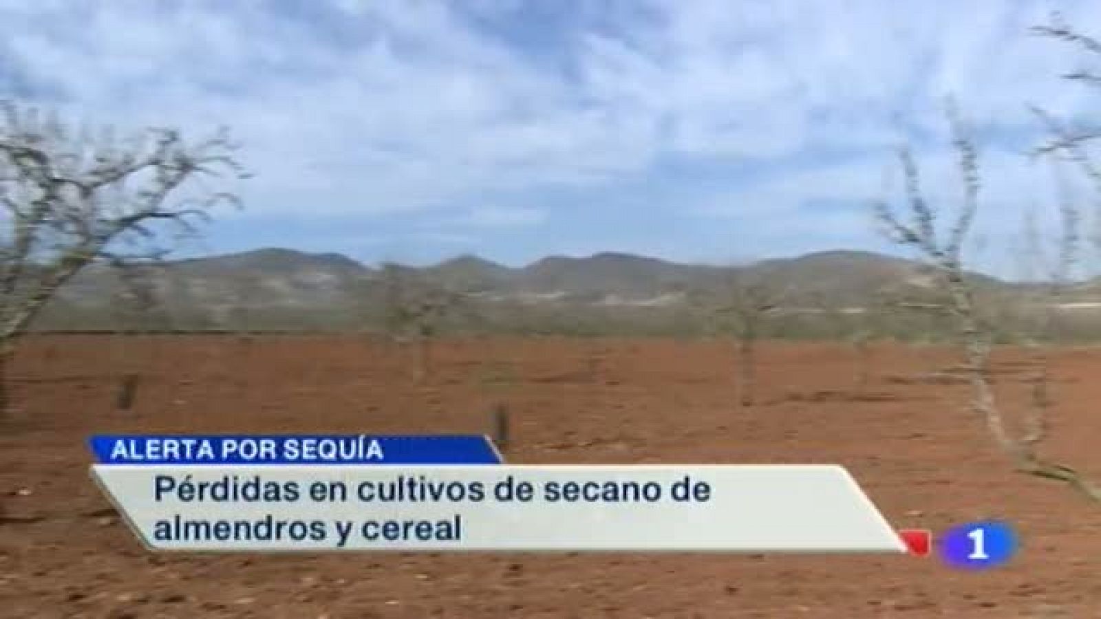 Noticias Murcia: Noticias Murcia - 11/04/2014 | RTVE Play