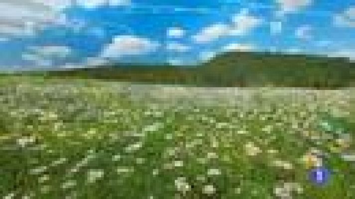 TeleCantabria - El tiempo en Cantabria - 11/04/14