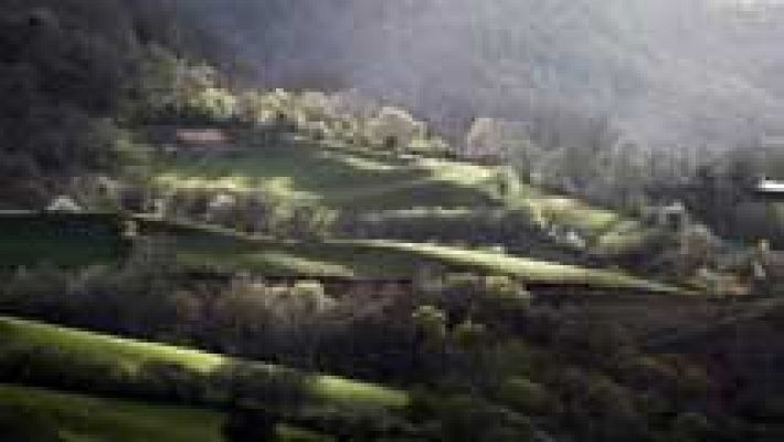 El tiempo - Viento fuerte en Canarias y lluvias en La Palma y El Hierro