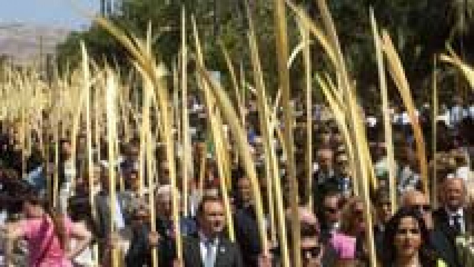 Telediario 1: Las procesiones del Domingo de Ramos inician la Semana Santa | RTVE Play