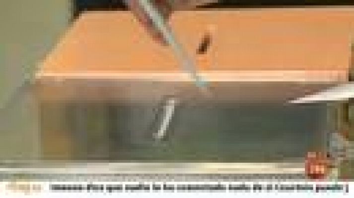 Parlamento - Precedentes y otras consultas