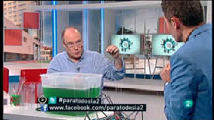 Para todos La 2 - Anton Aubanell, enseñar matemáticas