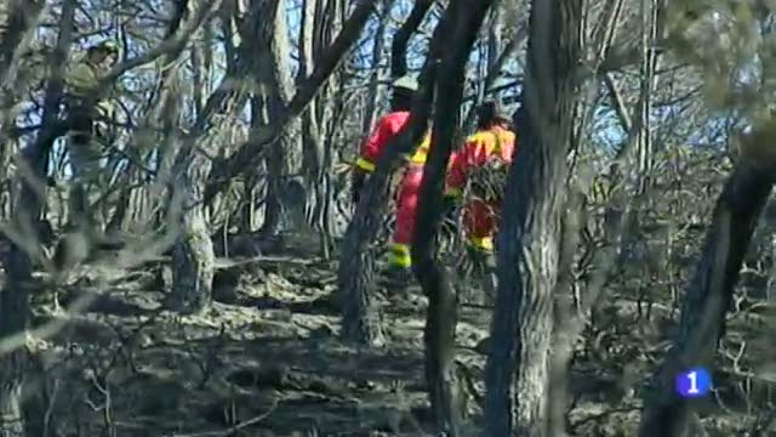 Informatiu Balear 2 - 14/04/14 | Ver