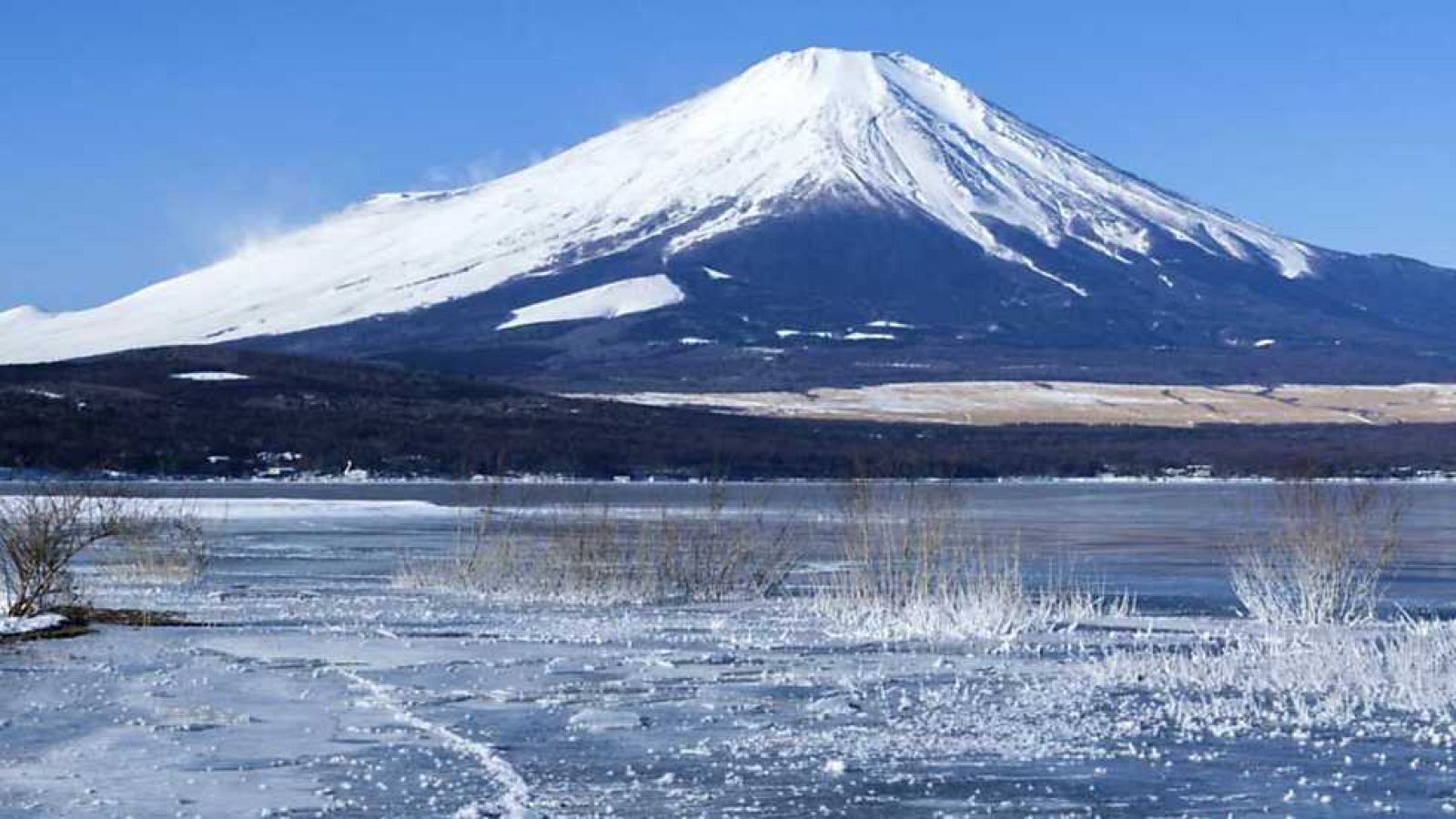 Grandes documentales - Las islas más salvajes: Japón, isla de extremos - Ver ahora