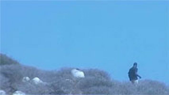  - Siete inmigrantes llegan a islas Chafarinas