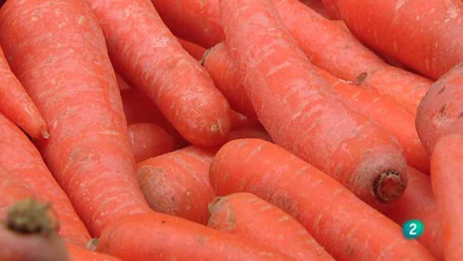 Para todos La 2 - 16/04/14 - ver ahora