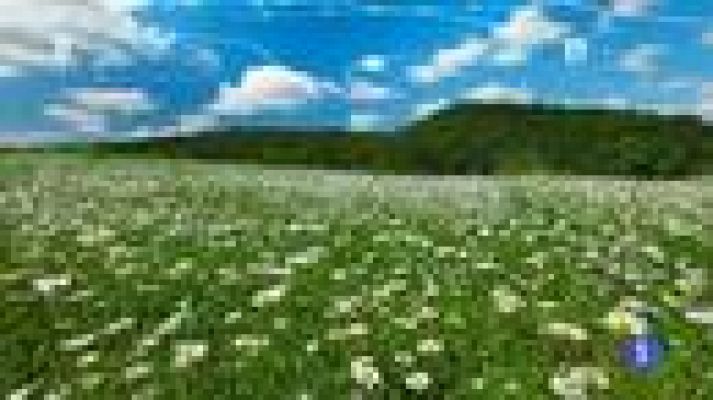 TeleCantabria - El tiempo en Cantabria - 16/04/14