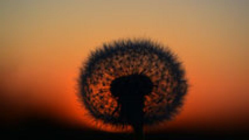 Ascenso ligero de las temperaturas máximas en el área mediterránea