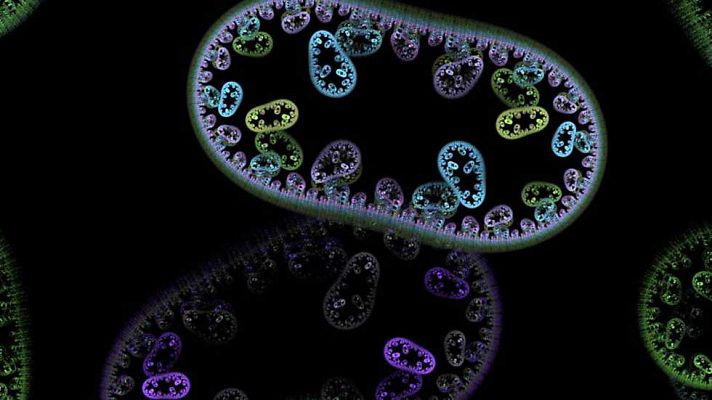 Documenta2 - El interior del cuerpo humano: Mundo hostil