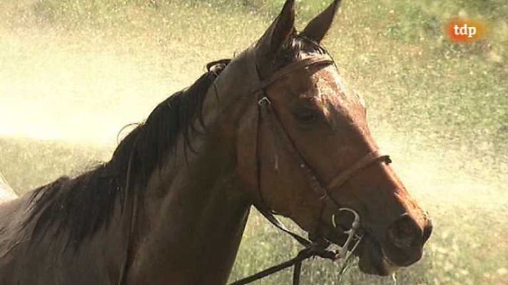 Turf - Turf - 18/04/14